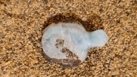 Larimar Schildpadje Medium No.3