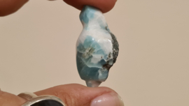 Larimar Schildpadje Small No.2