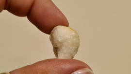 Fossiele Quartz Schelp Small No.2