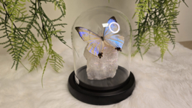 Set Fantasy "Angel Aura Rozenkwarts & Sulkowkyi"