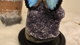 Set Fantasy "Galaxy Amethist & Peleides"