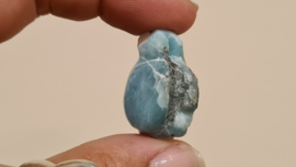 Larimar Schildpadje Small No.1