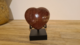 Versteend hout hart "Medium"