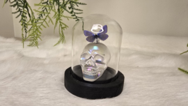 Set Fantasy "Angel Aura Skull & Thersites"