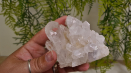 Bergkristal Cluster No.2