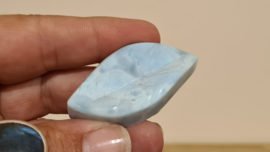 Larimar Schaaltje Leaf Mini