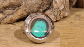 Ring Memory Locket Silver- Papilio Green