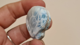 Larimar Schelpje No.12