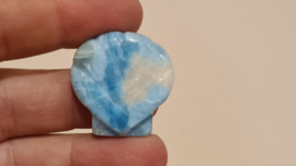 Larimar Schelpje No.9