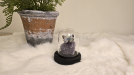 Set Fantasy "Amethist & Coridon"