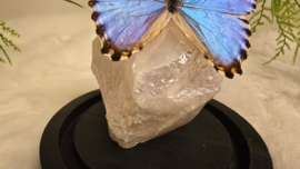 Set Fantasy "Angel Aura Rozenkwarts & Portis"