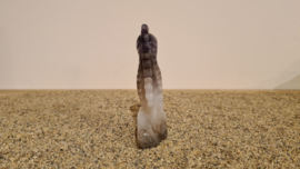 Chevron Amethist Zeepaardje No.1