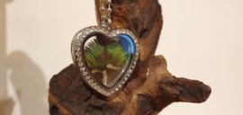 Ketting Memory Locket heart Strass Silver- Peacock feather