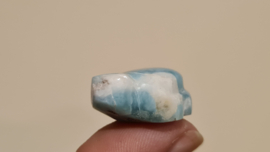 Larimar Schildpadje Small No.1