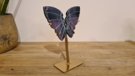 Druif Agaat "Butterflywings" No.3