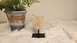 Angel Aura Citrien op standaard No. 1