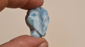 Larimar Schelpje No.8