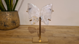 White Plume Agaat "Butterflywings"