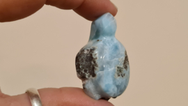 Larimar Schildpadje Medium No.3