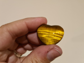Tijgeroog hart XS