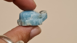 Larimar Schildpadje Medium No.1