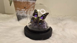 Set Fantasy "Amethist & Weiskei"