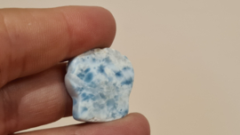 Larimar Schelpje No.6