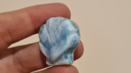 Larimar Schelpje No.10