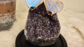 Set Fantasy "Galaxy Amethist & Sulkowskyi"
