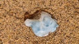 Larimar Schildpadjes Large No.2