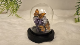 Set Fantasy "Amethist & Lycaena's "