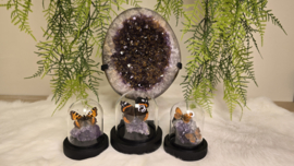 Set Fantasy "Amethist & Lycaena's "