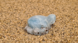 Larimar Schildpadje Medium No.4