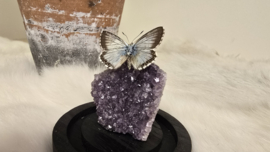 Set Fantasy "Amethist & Coridon"