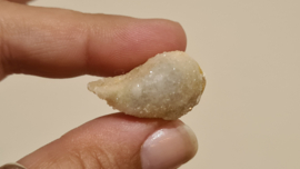 Fossiele Quartz Schelp Medium No. 4
