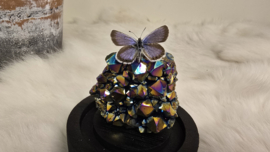 Set Fantasy "Titanium Aura & Argus"