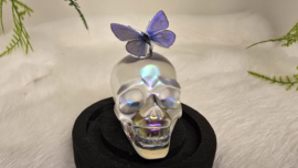 Set Fantasy "Angel Aura Skull & Thersites"