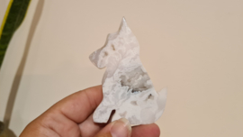 White Plume Agaat Hond