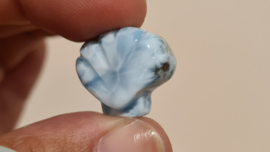 Larimar Schelpje No.1