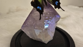 Set Fantasy "Angel Aura Amethist & Weiskei"