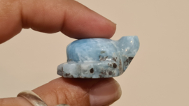 Larimar Schildpadje Medium No.4