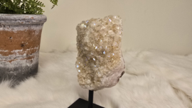 Angel Aura Citrien op standaard No. 2