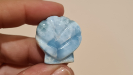 Larimar Schelpje No.10