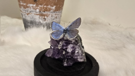 Set Fantasy "Amethist & Amandus"