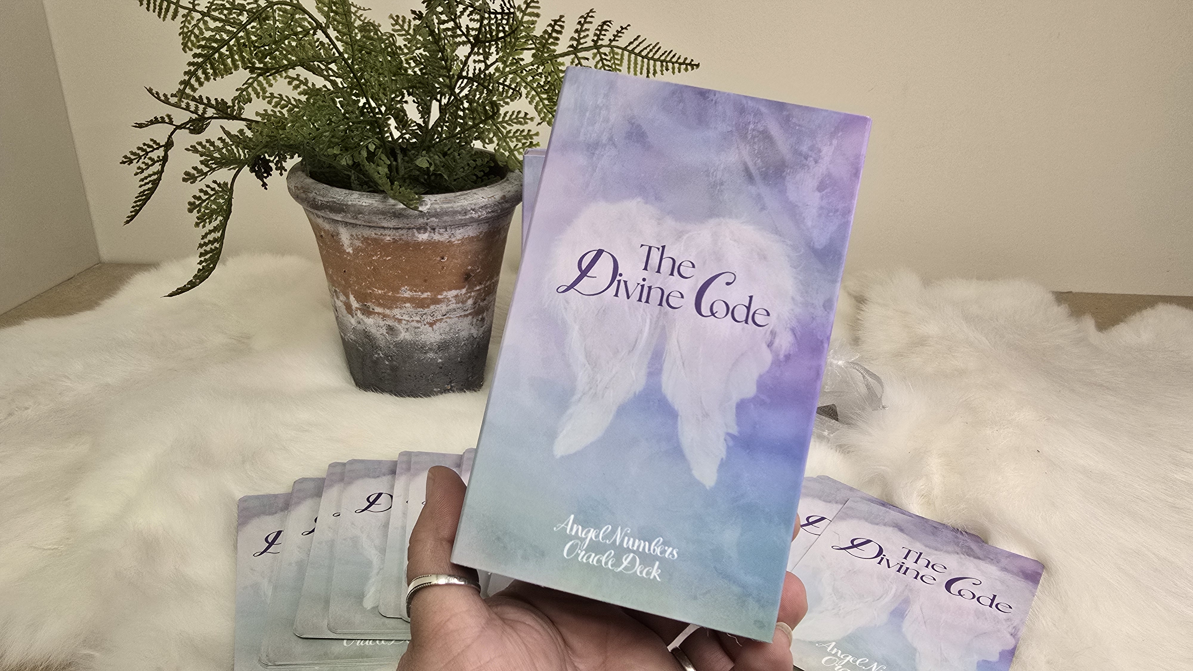 The Divine Code- Angel Numbers Orakelkaarten