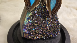 Set Fantasy "Titanium Aura & Doxocopa"