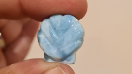 Larimar Schelpje No.2