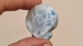 Larimar Schelpje No.12