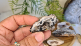 Agaat Geode Small Flat single