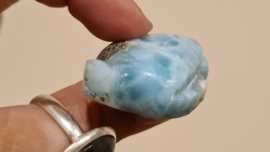 Larimar Schildpadjes Large No.2